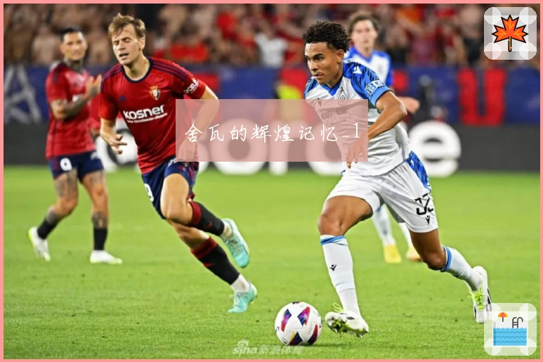 舍瓦的辉煌记忆_1